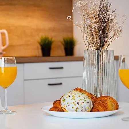 Komfortowy W Centrum 公寓 *