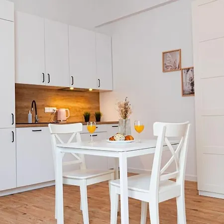 Komfortowy W Centrum * 华沙