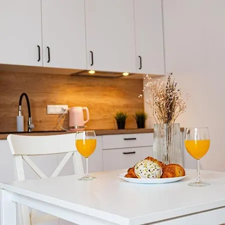 Komfortowy W Centrum 公寓 *