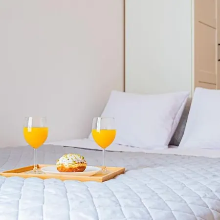 Komfortowy W Centrum 公寓 *