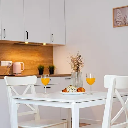 Appartement Komfortowy W Centrum